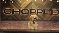 Chopped - Episode 1 - Chef's Best Friend