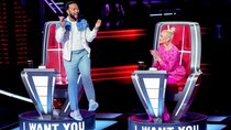 The Voice - Episode 4 - The Blind Auditions (4)