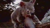 Time Trax - Episode 19 - The Scarlet Koala