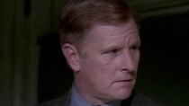 NYPD Blue - Episode 10 - Remembrance of Humps Past