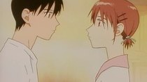 Kareshi Kanojo no Jijou - Episode 8 - Her Day / In a Grove of Blossoming Cherry Trees