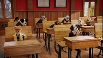 Pup Academy - Episode 11 - The Substitute