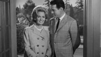 The Donna Reed Show - Episode 23 - The Gift Shop