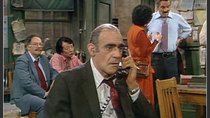 Barney Miller - Episode 17 - Sex Surrogate