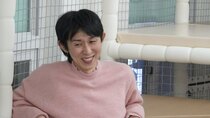 I Live Alone - Episode 531 - Dae Ho’s New Tent Bar Part Two