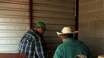 Storage Wars: Texas - Episode 7 - Home on the Strange