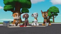 Paw Patrol - Episode 27 - All Paws on Deck