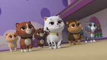 Paw Patrol - Episode 28 - Pups Save Katie and Some Kitties