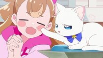 Wonderful Precure! - Episode 4 - The Nekoyashiki's Cat and Mayu
