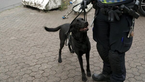 Border Security: Sweden's Front Line - S04E07 - You can't fool a customs dog