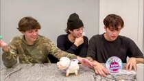Sturniolo Triplets - Episode 23 - 20 year olds playing with kids toys.