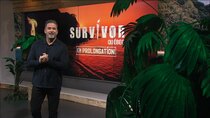 Survivor Quebec - Episode 8