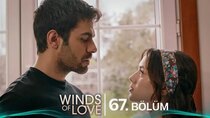 Winds of Love - Episode 67