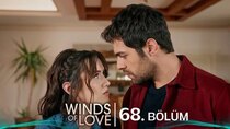 Winds of Love - Episode 68