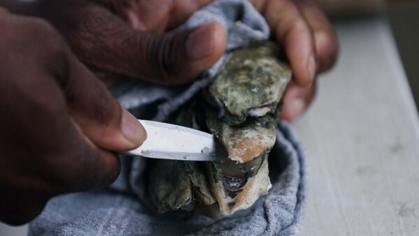 America the Bountiful - S01E03 - Oysters in South Carolina