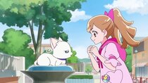 Wonderful Precure! - Episode 13 - Search for Cure Nyammy!