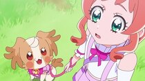 Wonderful Precure! - Episode 16 - The Mystery of the Mirror Stone