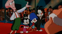 Animaniacs - Episode 12 - Taming Of The Screwy