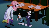 Animaniacs - Episode 30 - La La Law