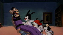 Animaniacs - Episode 41 - Nothing but the Tooth