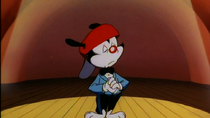 Animaniacs - Episode 77 - The Great Wakkorotti: The Summer Concert