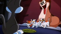 Animaniacs - Episode 95 - Smitten With Kittens