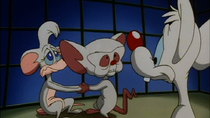 Animaniacs - Episode 107 - The World Can Wait