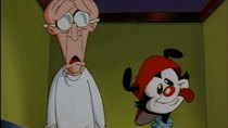 Animaniacs - Episode 125 - Ups and Downs