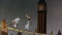 Animaniacs - Episode 131 - Brain meets Brawn