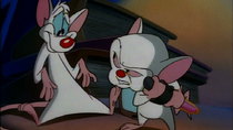 Animaniacs - Episode 136 - The Helpinki Formula