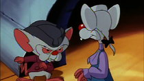 Animaniacs - Episode 23 - Don't Tread On Us