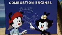 Animaniacs - Episode 8 - A Very Very Very Very Special Show