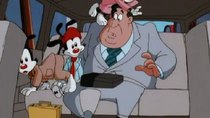 Animaniacs - Episode 13 - The Carpool