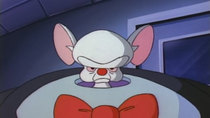 Pinky and the Brain - Episode 2 - Of Mouse and Man