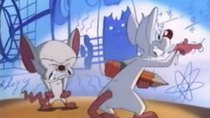 Pinky and the Brain - Episode 4 - That Smarts