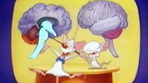 Pinky and the Brain - Episode 5 - Brainstem