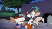 Pinky and the Brain - Episode 9 - Brainania