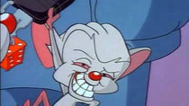 Pinky and the Brain - Episode 10 - TV or Not TV