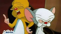 Pinky and the Brain - Episode 13 - Snowball