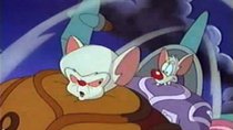Pinky and the Brain - Episode 15 - Fly