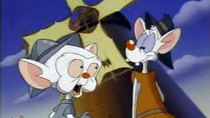 Pinky and the Brain - Episode 17 - Mouse of la Mancha