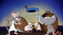 Pinky and the Brain - Episode 19 - The Visit