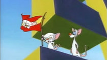 Pinky and the Brain - Episode 1 - It's Only a Paper World