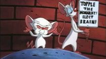 Pinky and the Brain - Episode 2 - Collect 'Em All
