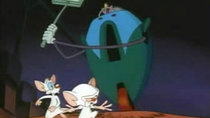 Pinky and the Brain - Episode 4 - Plan Brain from Outer Space
