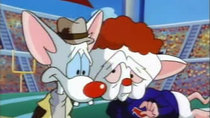 Pinky and the Brain - Episode 8 - Brain's Song