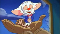 Pinky and the Brain - Episode 11 - Megalomaniacs Anonymous
