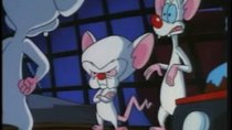 Pinky and the Brain - Episode 15 - Brinky