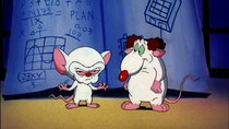 Pinky and the Brain - Episode 4 - Pinky & the Brain and...Larry