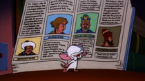 Pinky and the Brain - Episode 13 - A Meticulous Analysis of History